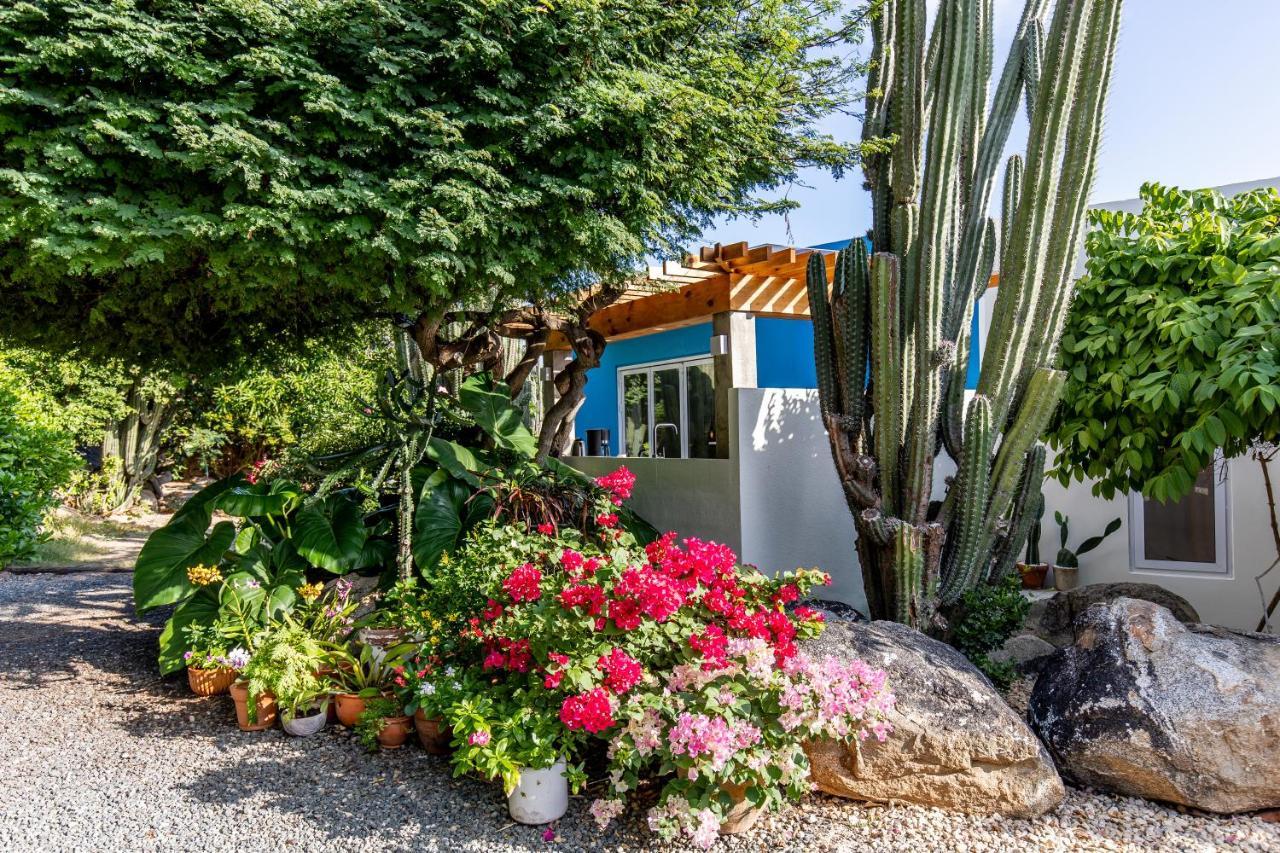 Naima Luxury Home, Cottage & Apartment Rentals Paradera Eksteriør billede